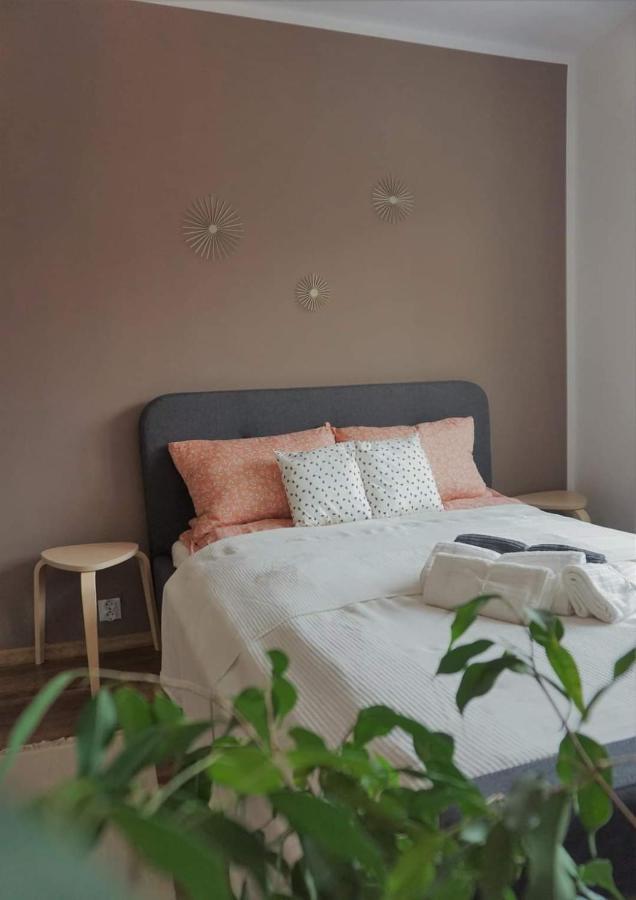 Cozy Apart Toplita Exterior foto
